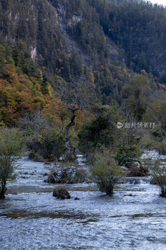 九寨沟秋色，盆景滩山林溪流