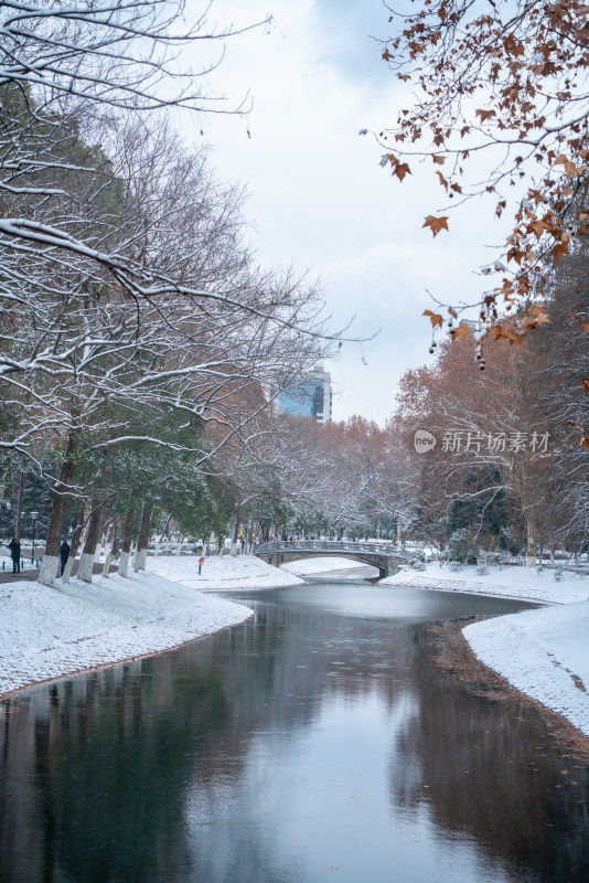 武汉冬天解放公园雪景