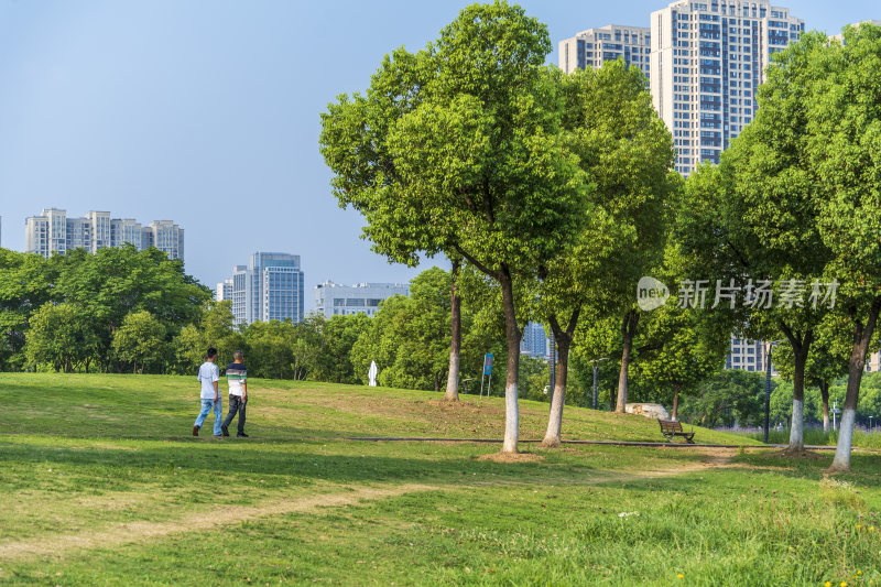 武汉汉阳墨水湖公园湿地公园