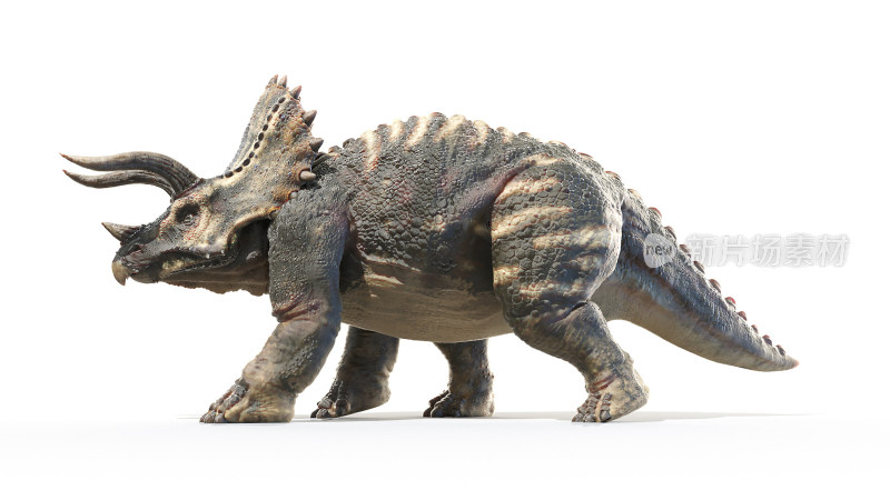 大型食肉恐龙 远古恐龙 三角龙