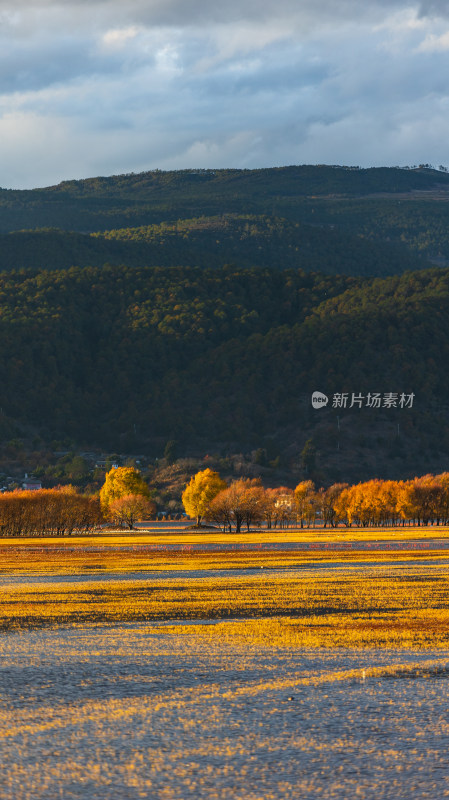 丽江拉市海冬季候鸟湿地公园风光