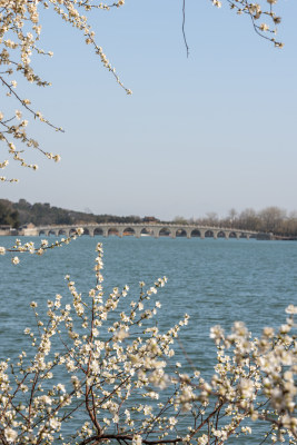 颐和园 北京春天 颐和园桃花