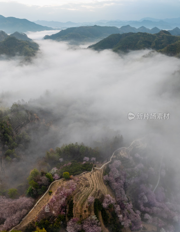 山间云雾缭绕的航拍美景