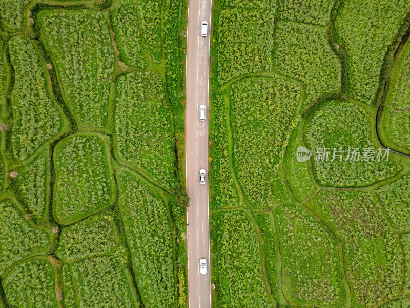 安徽江岭油菜花山谷梯田白墙徽派建筑群航拍