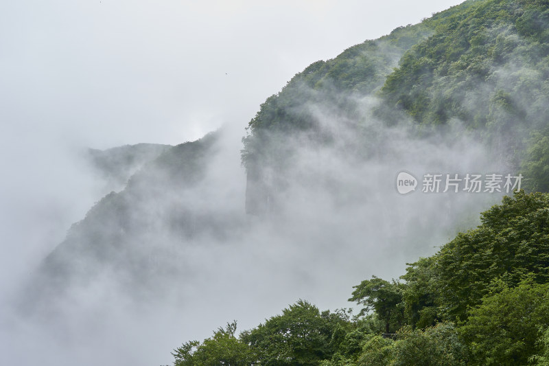 重庆金佛山美景