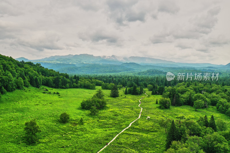 长白山高山花园王池风光