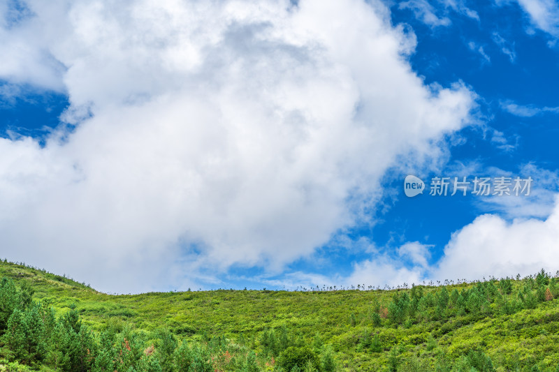 绿色山坡山脊线上的天空蓝天白云美景