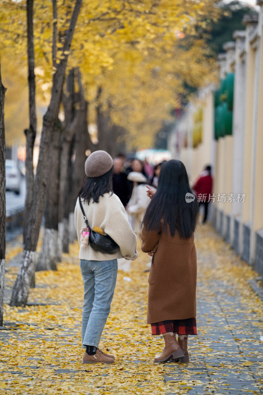 秋季行走在银杏树下的女人