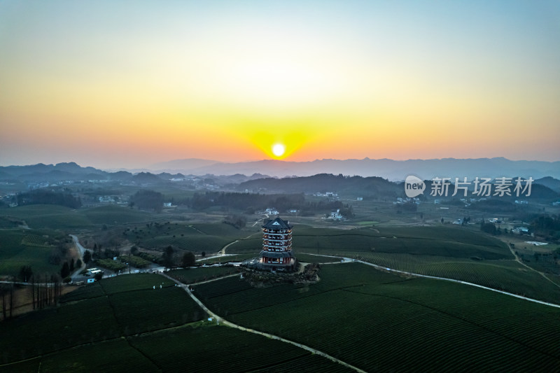 贵州遵义湄潭茶海