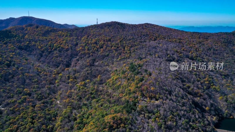 秦皇岛市祖山秋景航拍图色彩斑斓的山林风光