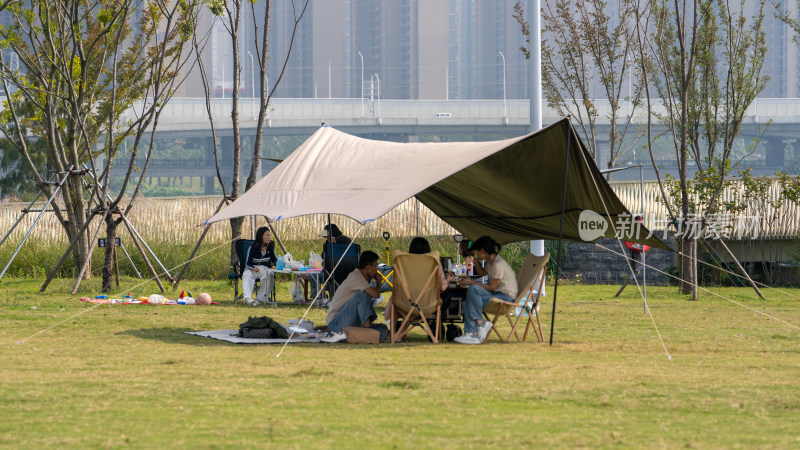 武汉汉阳龙阳湖公园露营