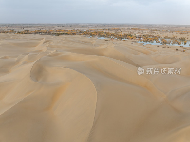 新疆南疆巴州葫芦岛金秋沙漠水上胡杨林航拍