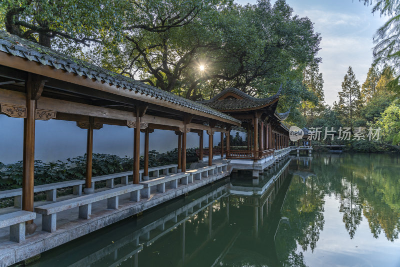 杭州西子湖畔杭州花圃风景