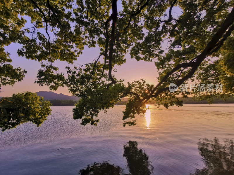 西湖的金色夕阳美景