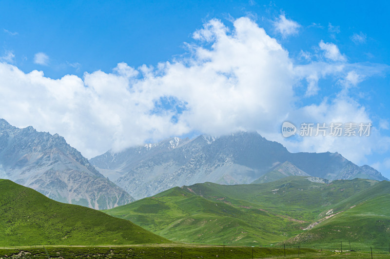 青海祁连山国家公园，夏季高山草原牧场雪山