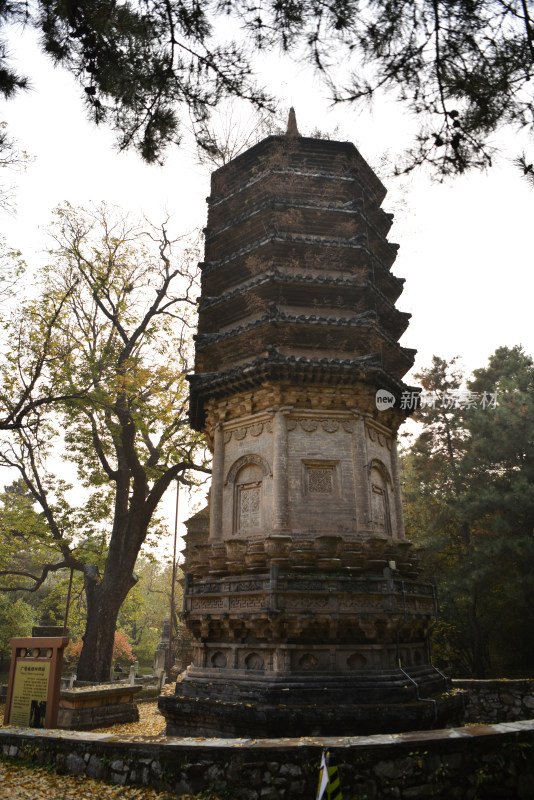 古刹塔林秋色 北京潭柘寺塔林