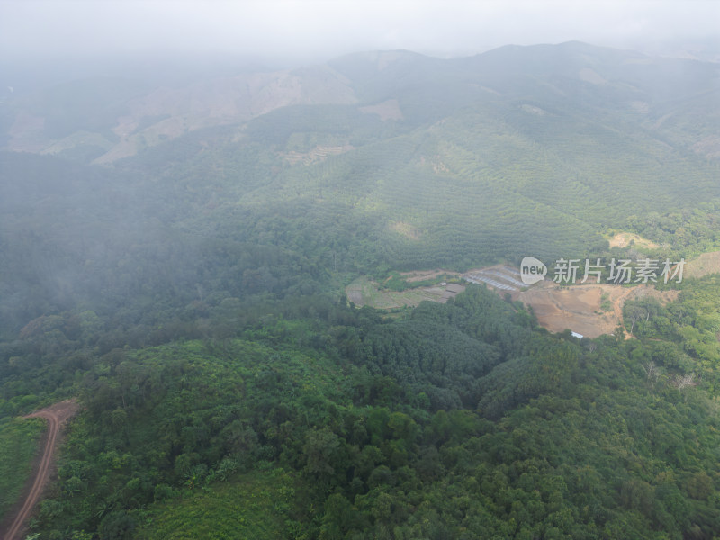 云雾笼罩下的葱郁山林鸟瞰全景