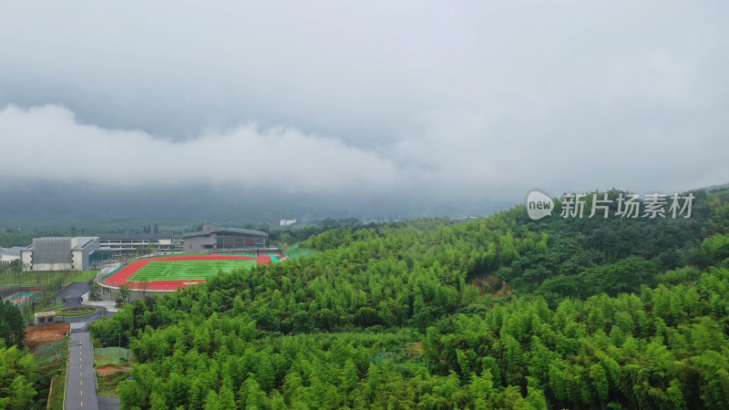 湖州莫干山竹海航拍