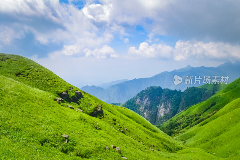 夏天江西武功山的高山草甸