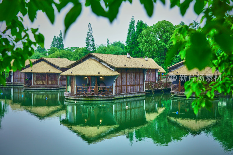 乌镇的风光美景