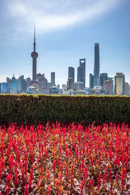 上海外滩外白渡桥陆家嘴黄浦江城市景观