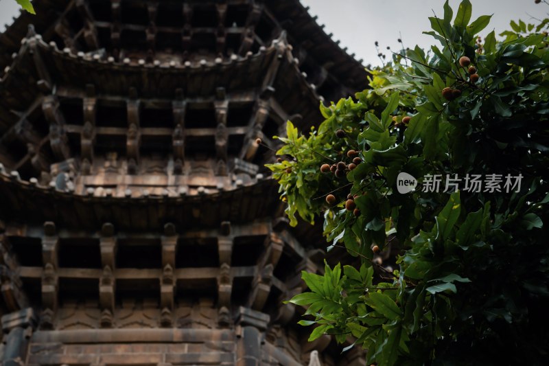 北京和泉州开元寺城市古建筑旅游名胜古迹