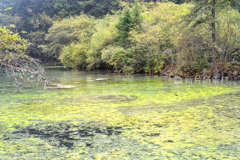 四川阿坝藏族羌族自治州黄龙风景区