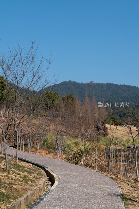 山林间的石子小路风景