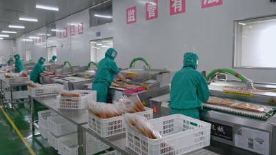 大型食品企业无菌车间工人生产美味辣条