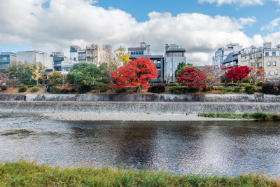 河边 鸭川 河边建筑 城市河流