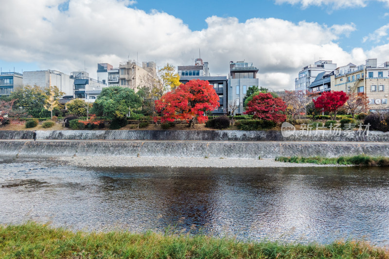 河边 鸭川 河边建筑 城市河流