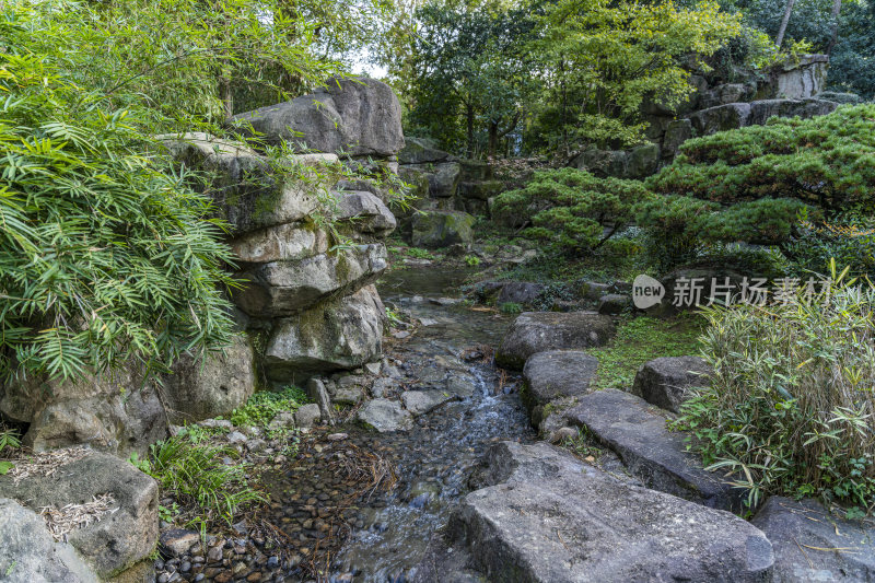 杭州西子湖畔杭州花圃风景