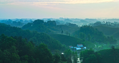 茶园茶山美丽乡村