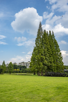 成都城市风景