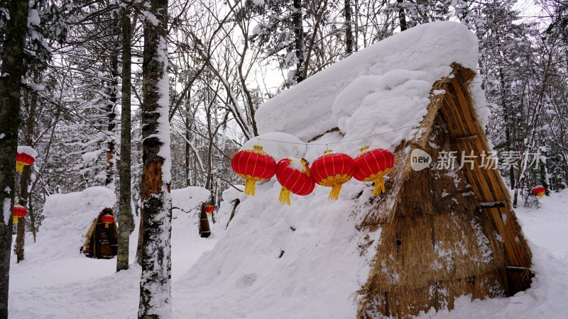 林海雪原