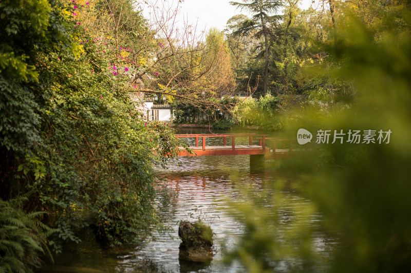 成都百花潭公园