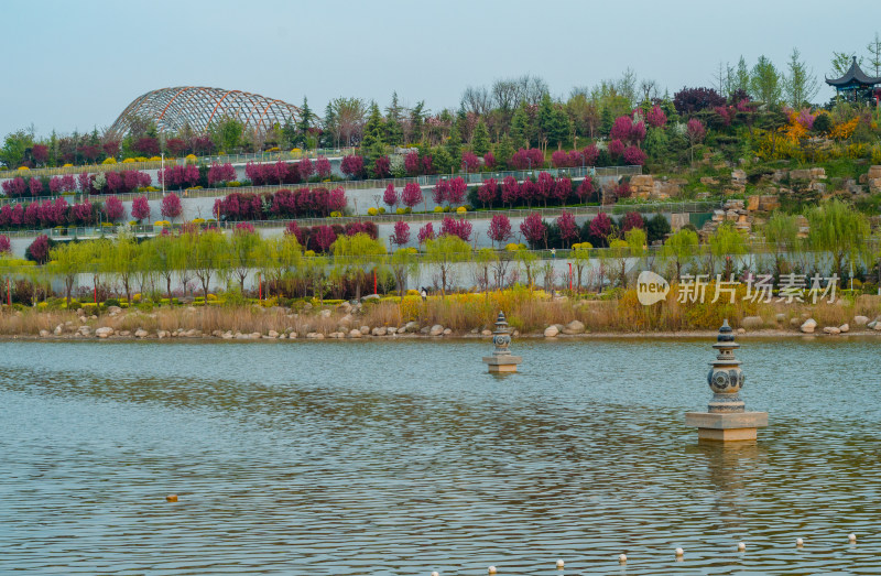 春天的渭南南湖公园风景