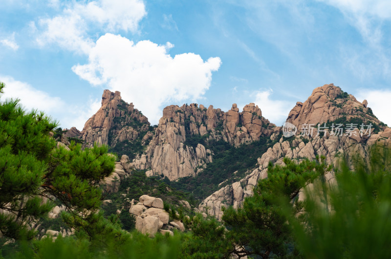 青岛崂山仰口风景区，起伏的山峰和茂密松林