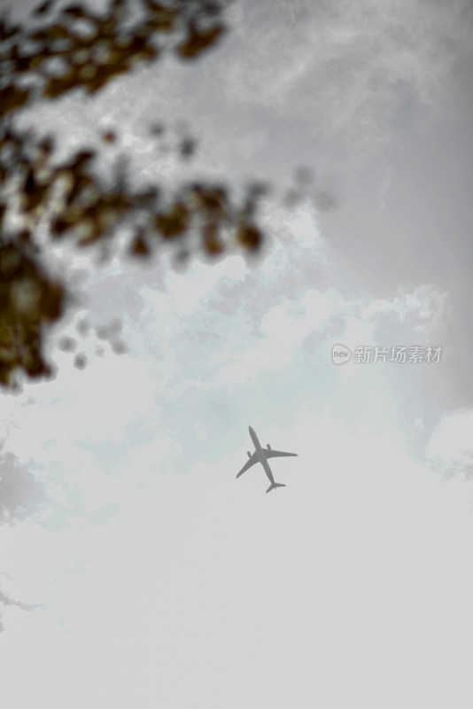 飞机在晴空中飞行的低角度视图