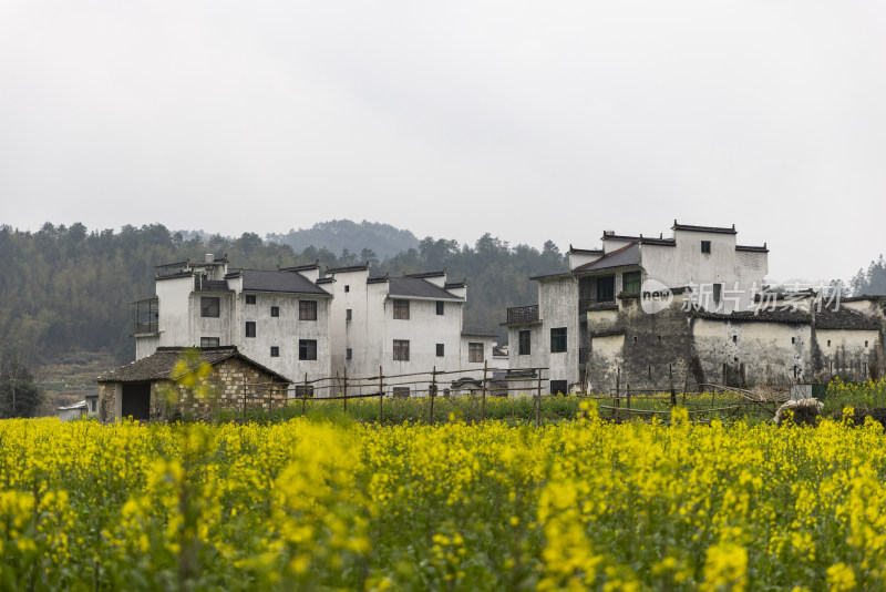 江西婺源思溪延村油菜花航拍