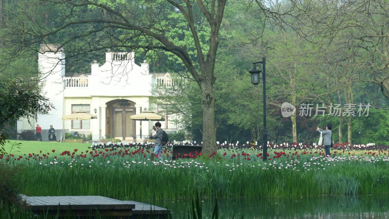 杭州西湖太子湾公园风景