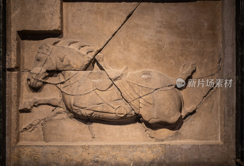 西安碑林博物馆，石刻艺术室里的昭陵六骏