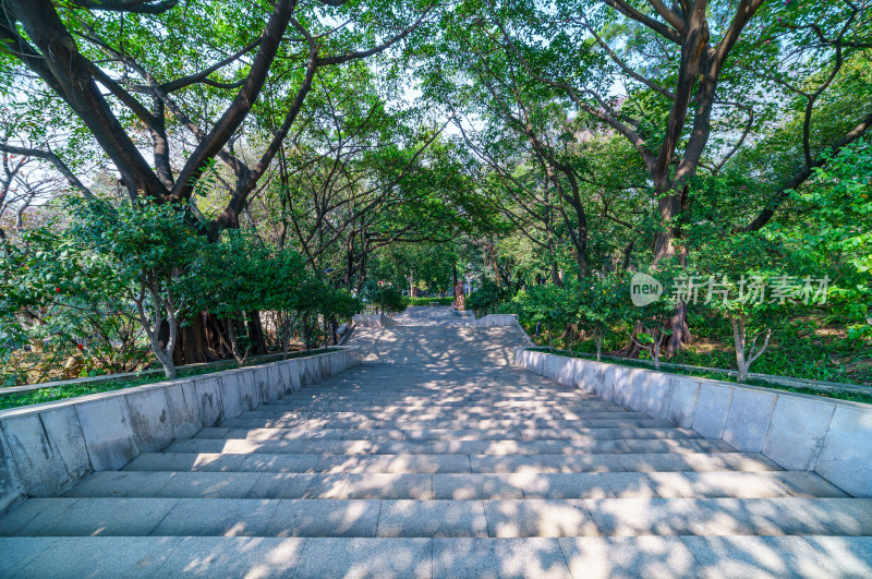 广州雕塑公园林荫栈道台阶阶梯
