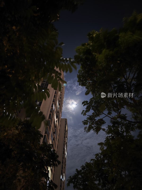 小区的夜晚