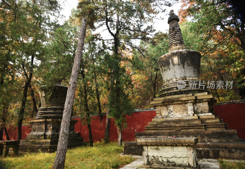 古刹塔林秋色 北京潭柘寺塔林