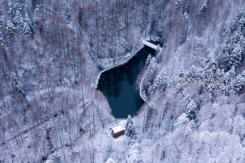 山王坪冬季雪景