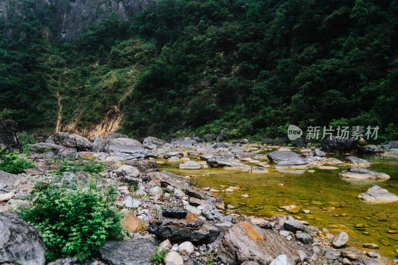 晋城双底村红豆杉大峡谷