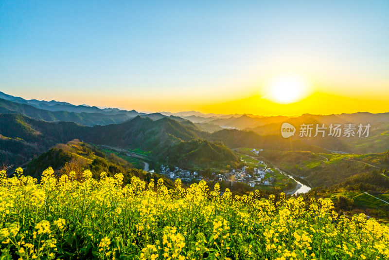 中国徽派建筑油菜花田