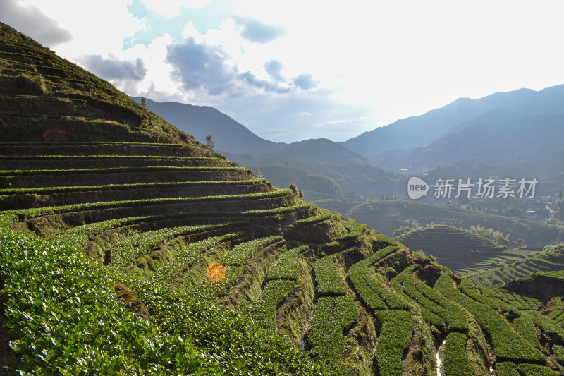 山林间的村庄全景