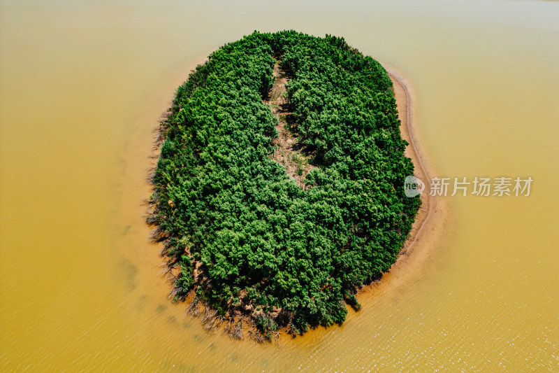 东营黄河口生态旅游区